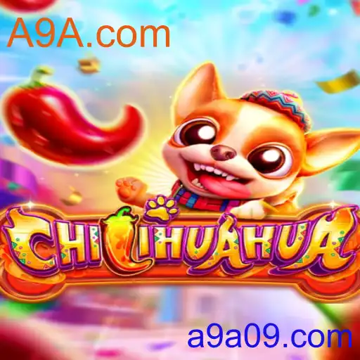 CHILIHUAHUA: Como Jogar e Entender as Regras deste Novo Sucesso
